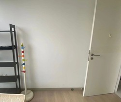 Riversound Residence (D19), Condominium #513196961